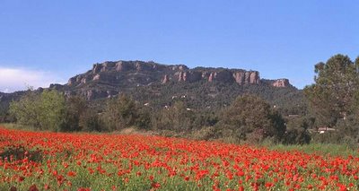 20090708091739-santllorenc.jpg