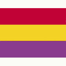 20100105181344-parche-bandera-repuclicana.jpg